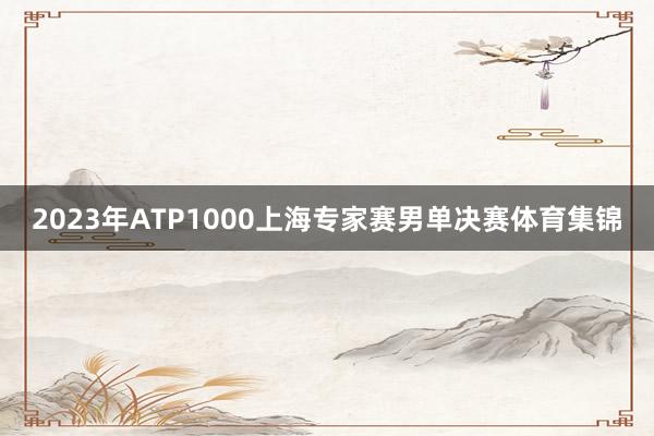 2023年ATP1000上海专家赛男单决赛体育集锦