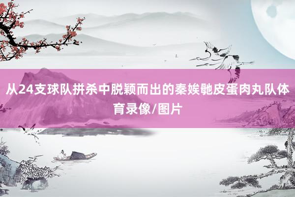 从24支球队拼杀中脱颖而出的秦娭毑皮蛋肉丸队体育录像/图片