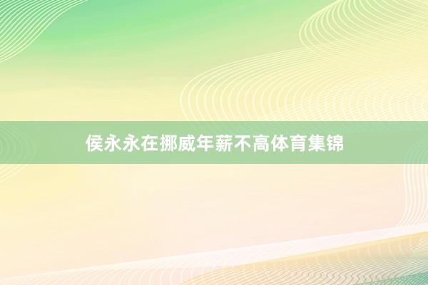 侯永永在挪威年薪不高体育集锦
