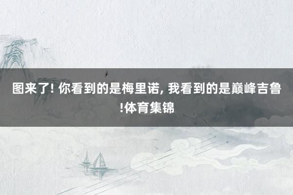 图来了! 你看到的是梅里诺, 我看到的是巅峰吉鲁!体育集锦