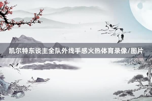 凯尔特东谈主全队外线手感火热体育录像/图片
