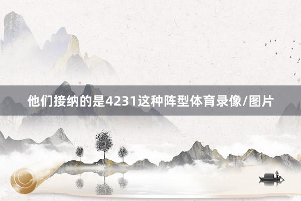 他们接纳的是4231这种阵型体育录像/图片