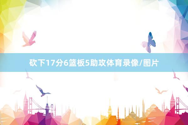 砍下17分6篮板5助攻体育录像/图片