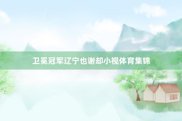 卫冕冠军辽宁也谢却小视体育集锦