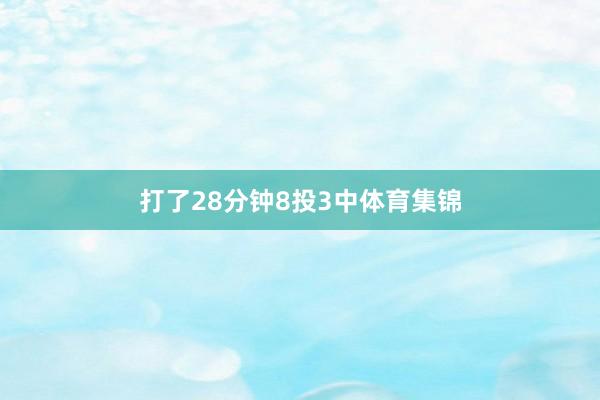 打了28分钟8投3中体育集锦