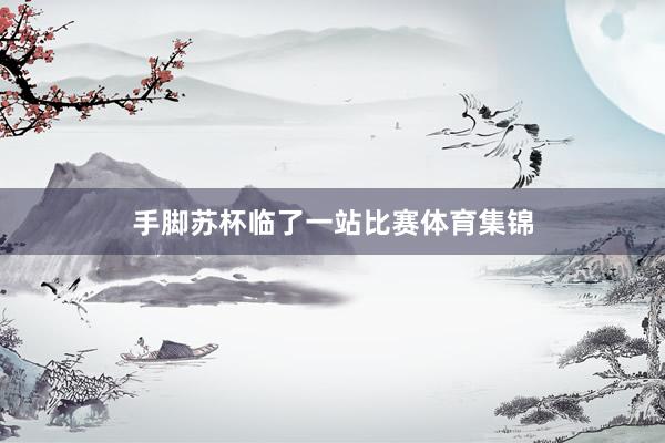 手脚苏杯临了一站比赛体育集锦