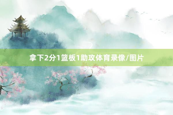拿下2分1篮板1助攻体育录像/图片