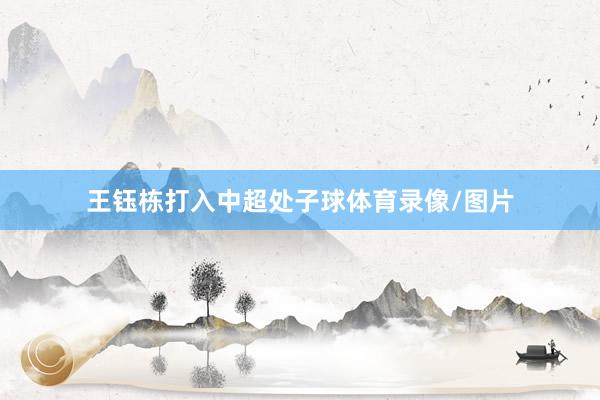 王钰栋打入中超处子球体育录像/图片