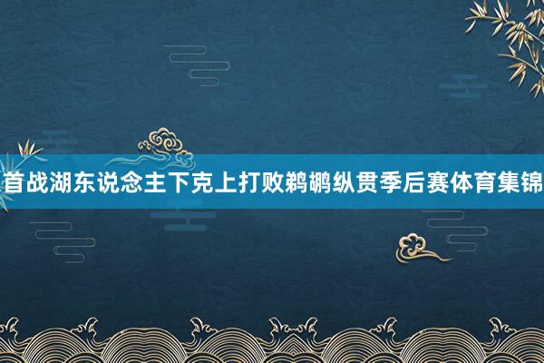 首战湖东说念主下克上打败鹈鹕纵贯季后赛体育集锦