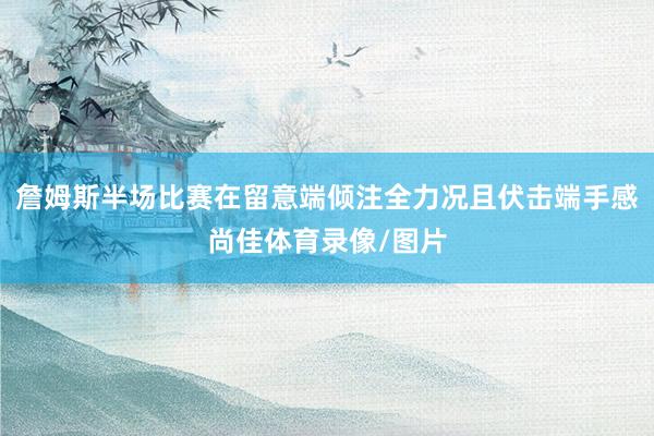詹姆斯半场比赛在留意端倾注全力况且伏击端手感尚佳体育录像/图片