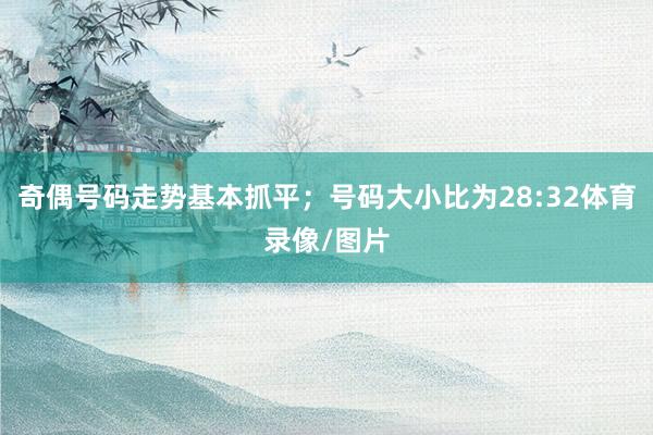 奇偶号码走势基本抓平；号码大小比为28:32体育录像/图片