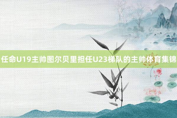 任命U19主帅图尔贝里担任U23梯队的主帅体育集锦