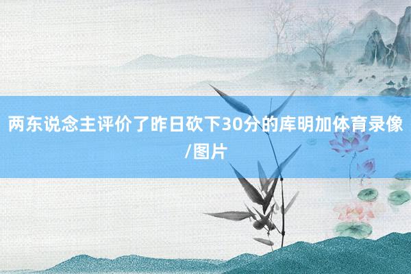 两东说念主评价了昨日砍下30分的库明加体育录像/图片