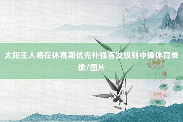 太阳王人将在休赛期优先补强首发级别中锋体育录像/图片