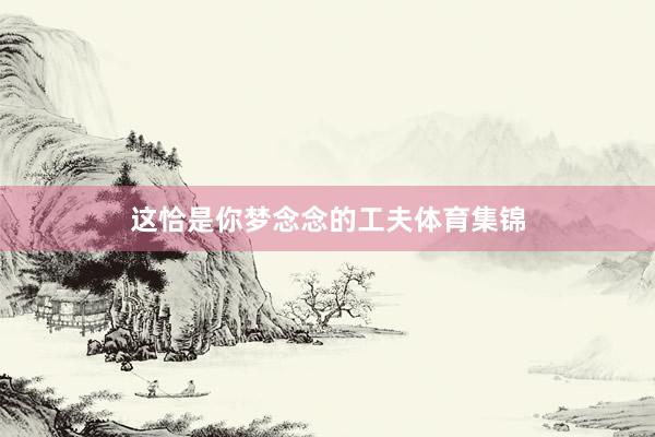 这恰是你梦念念的工夫体育集锦