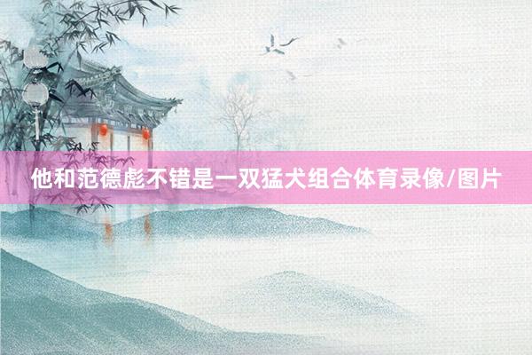 他和范德彪不错是一双猛犬组合体育录像/图片