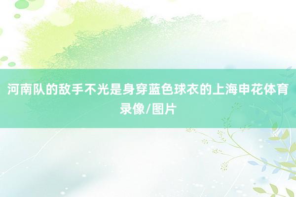 河南队的敌手不光是身穿蓝色球衣的上海申花体育录像/图片