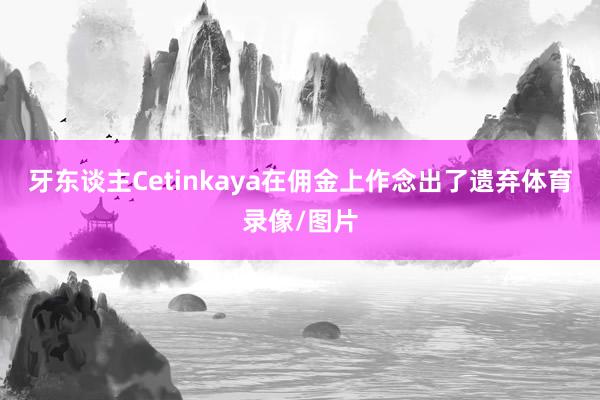 牙东谈主Cetinkaya在佣金上作念出了遗弃体育录像/图片