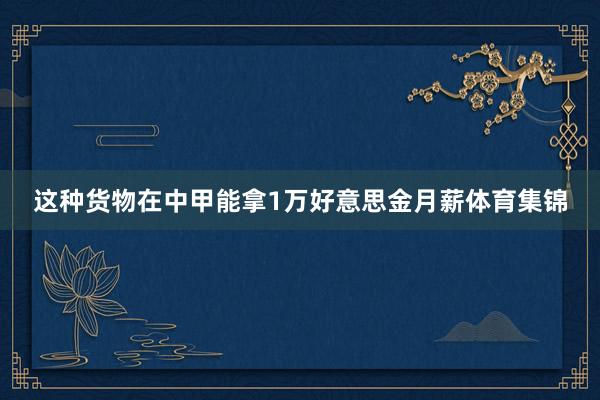 这种货物在中甲能拿1万好意思金月薪体育集锦