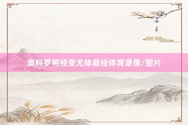 奥科罗将经受尤体裁检体育录像/图片