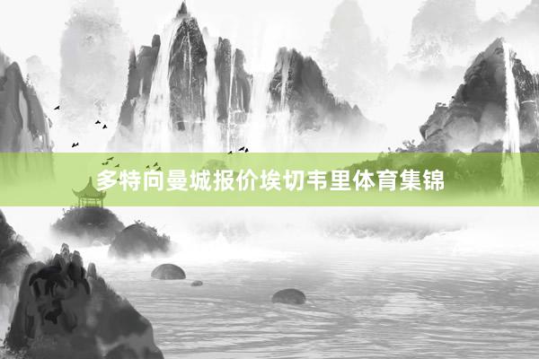 多特向曼城报价埃切韦里体育集锦