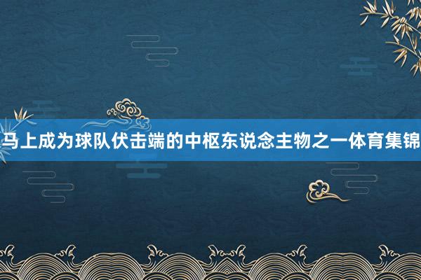 马上成为球队伏击端的中枢东说念主物之一体育集锦