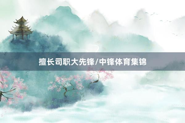 擅长司职大先锋/中锋体育集锦