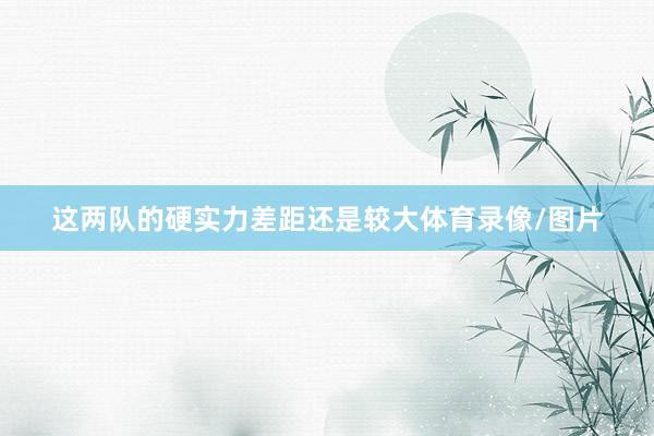 这两队的硬实力差距还是较大体育录像/图片