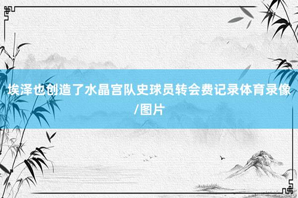 埃泽也创造了水晶宫队史球员转会费记录体育录像/图片