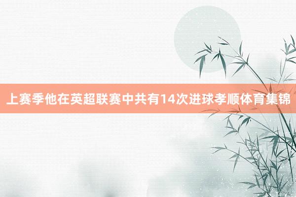 上赛季他在英超联赛中共有14次进球孝顺体育集锦