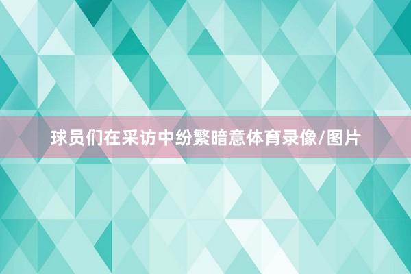 球员们在采访中纷繁暗意体育录像/图片