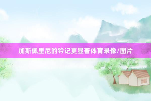 加斯佩里尼的钤记更显著体育录像/图片