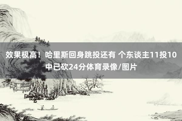 效果极高！哈里斯回身跳投还有 个东谈主11投10中已砍24分体育录像/图片