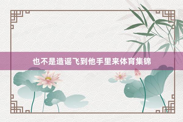 也不是造谣飞到他手里来体育集锦