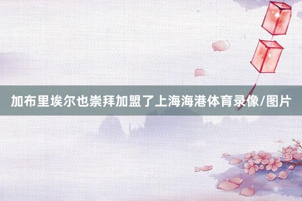 加布里埃尔也崇拜加盟了上海海港体育录像/图片