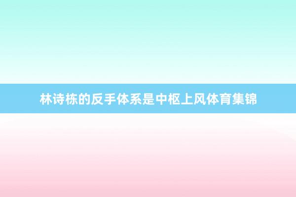 林诗栋的反手体系是中枢上风体育集锦