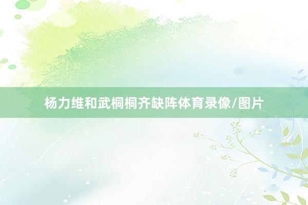 杨力维和武桐桐齐缺阵体育录像/图片