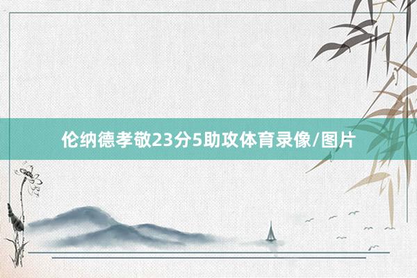 伦纳德孝敬23分5助攻体育录像/图片