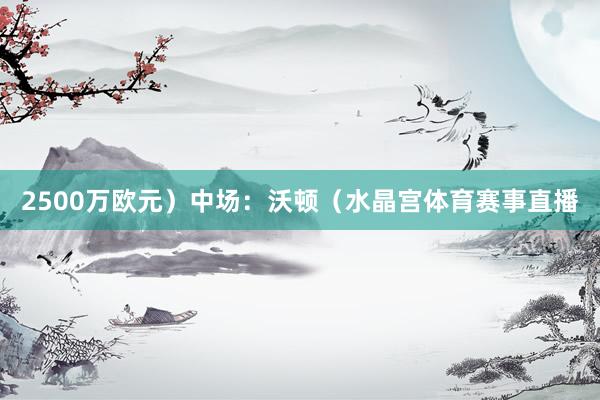 2500万欧元）中场：沃顿（水晶宫体育赛事直播