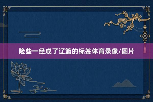 险些一经成了辽篮的标签体育录像/图片