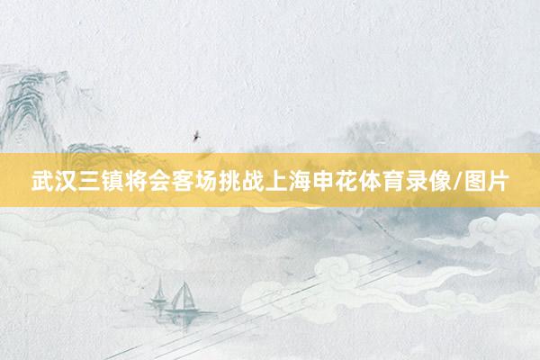 武汉三镇将会客场挑战上海申花体育录像/图片