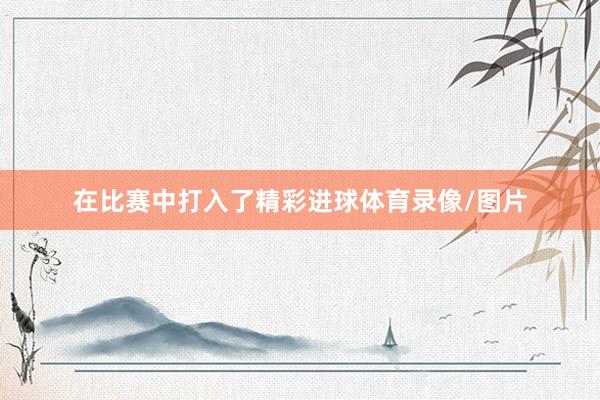在比赛中打入了精彩进球体育录像/图片