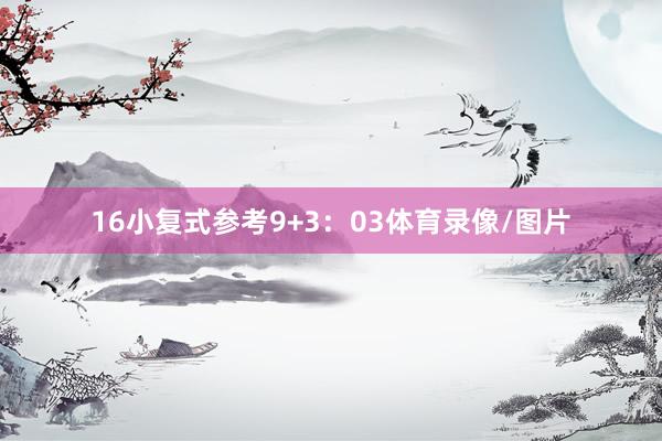 16 小复式参考9+3:03体育录像/图片